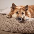 Hundebett BELLAGIO, Sabbia – Bild 5