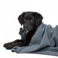 Hundedecke Soft Fleece Dove Blue – Bild 5