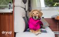 Dryup Cape Pink – Bild 3