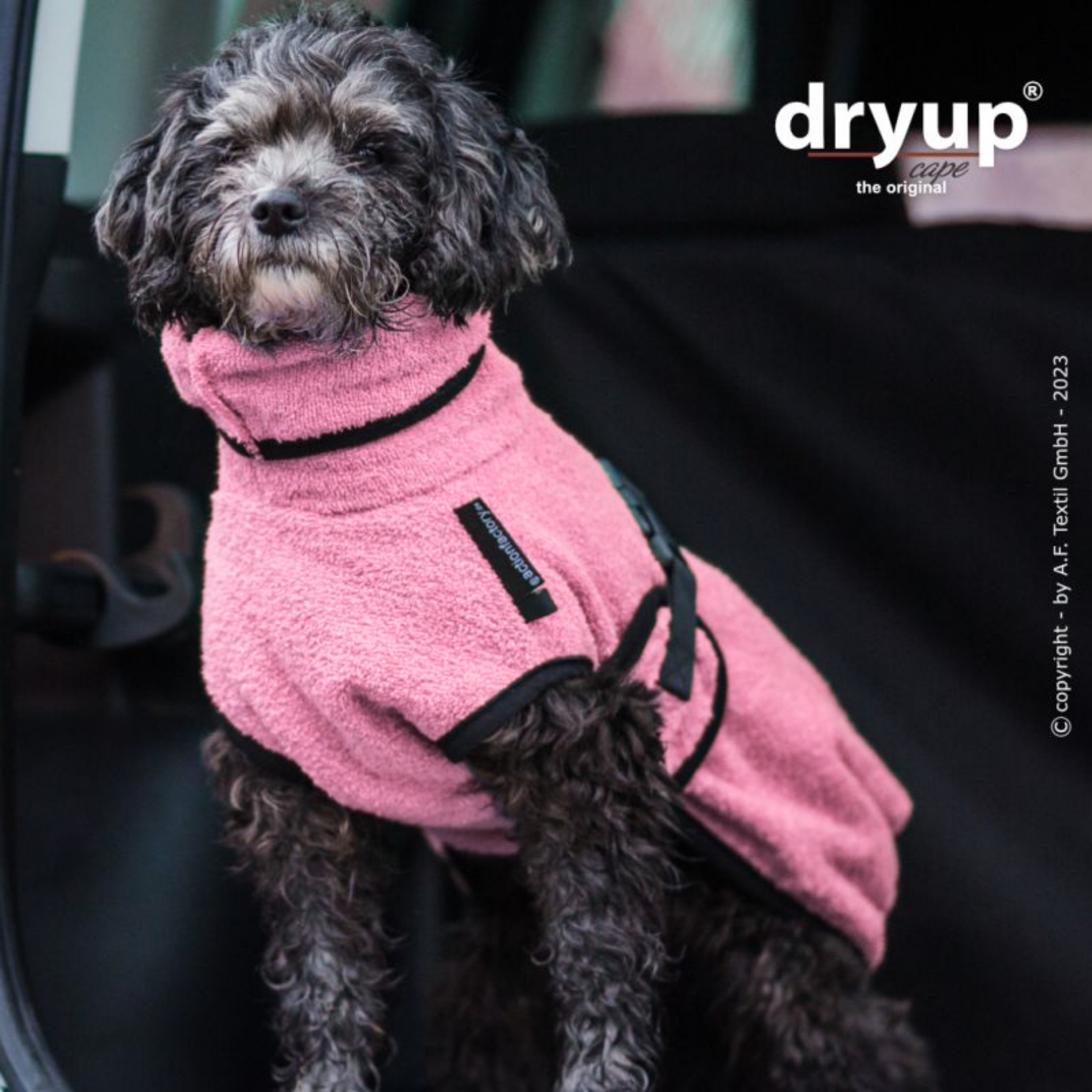 Dryup Cape mini Rosé