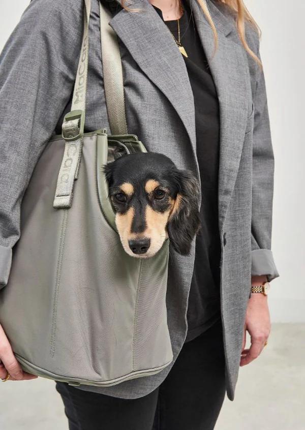 Sporta Hundetragtasche Grolive – Bild 4
