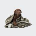 Hundedecke Evergreen – Bild 4