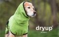 Dryup Cape Kiwi – Bild 3