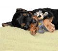 Hundespielzeug Kong Wild Knots Bear – Bild 5