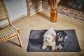 Hundedecke Buffalo Graphit – Bild 3