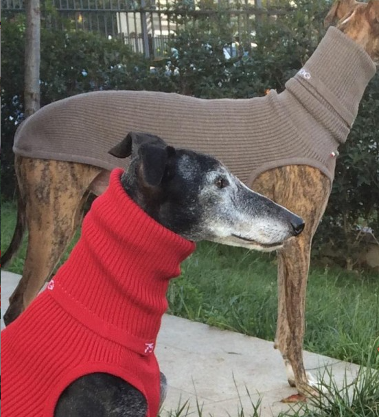 Strickpullover LEVRIERI Rosso Ferrari