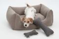 Hundebett Box Paddy, Stone – Bild 2