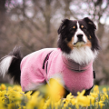Dryup Cape Rosé – Bild 2