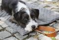 Cosmo TravelBed Kiesel – Bild 2