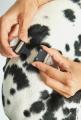 Modena Hundehalsband Greige – Bild 3