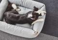 Sonno Box-Bett, Taupe – Bild 4