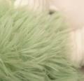 Ms. Carrotlyn Knottie – Bild 5