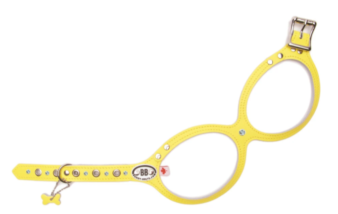 Buddy Belt Geschirr Daffodil