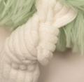 Ms. Carrotlyn Knottie – Bild 3