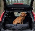 Hundeautositz Schwarz – Bild 6