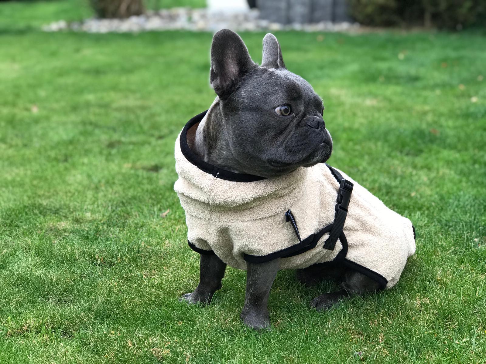 DryUp für Mops
