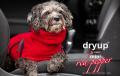 Dryup Cape mini Red Pepper – Bild 3