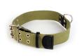 Halsband Cotton Grün – Bild 3