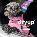 Dryup Cape mini Rosé – Bild 2