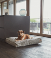 Cordo Hundekissen Greige – Bild 3