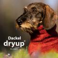 Dryup Cape DACKEL Bordeaux – Bild 2