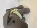 Harness aus Leder Aqua Paillette – Bild 3