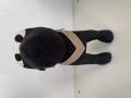 Harness aus Leder Tontona – Bild 3