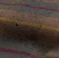 Hundemantel Brooklyn Waxed Tartan – Bild 4