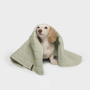 Hundedecke LTTL Faded Moss